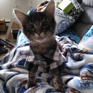 Meet your Posher, Teresa